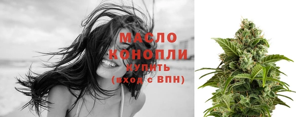 гашик Нея