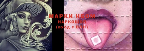 гашик Нея