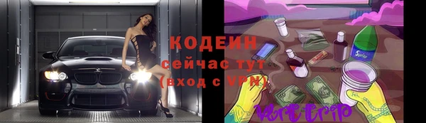гашик Нея