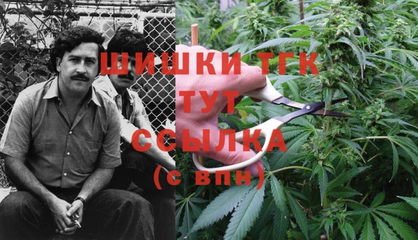 гашик Нея